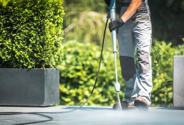 Best Sidewalk and Walkway Cleaning  in Farr West, UT
